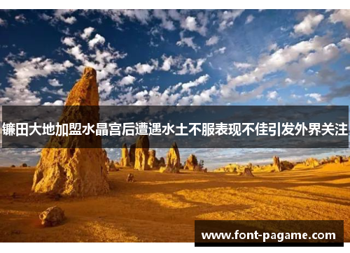 镰田大地加盟水晶宫后遭遇水土不服表现不佳引发外界关注