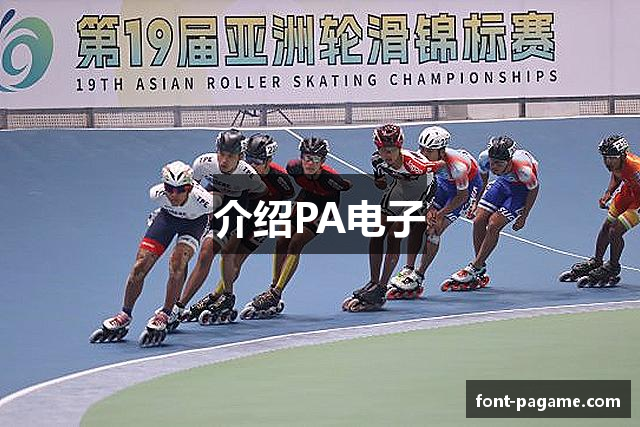 介绍PA电子